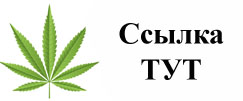 Купить наркотики в Белоярске